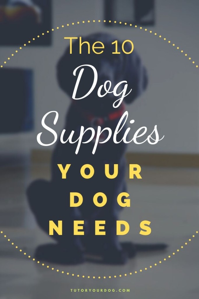 As a dog owner it can be confusing to try and figure out what the best dog supplies are for your dog.  Click through to learn what 10 essential dog supplies your dog needs.  
