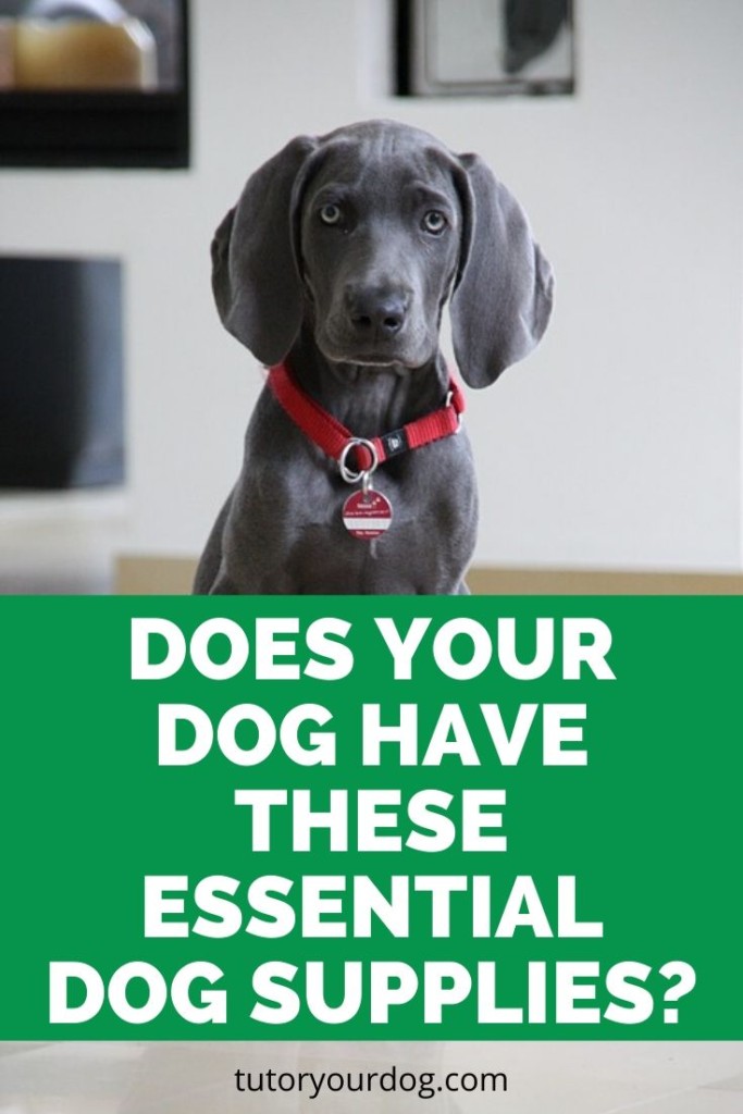 Does your dog have these essential dog supplies?  There are certain supplies that every dog needs in order to be healthy and happy.  Click through to find out if your dog has these supplies.