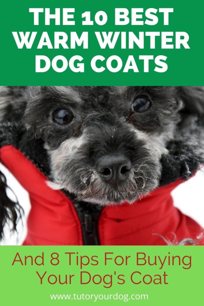 When the temperature gets colder we all dress for winter.  Some dogs really mind the cold and need a winter coat for their outdoor adventures.  Click through to check out our top 10 best winter coats and learn 8 tips on how to buy the perfect coat for your dog.  