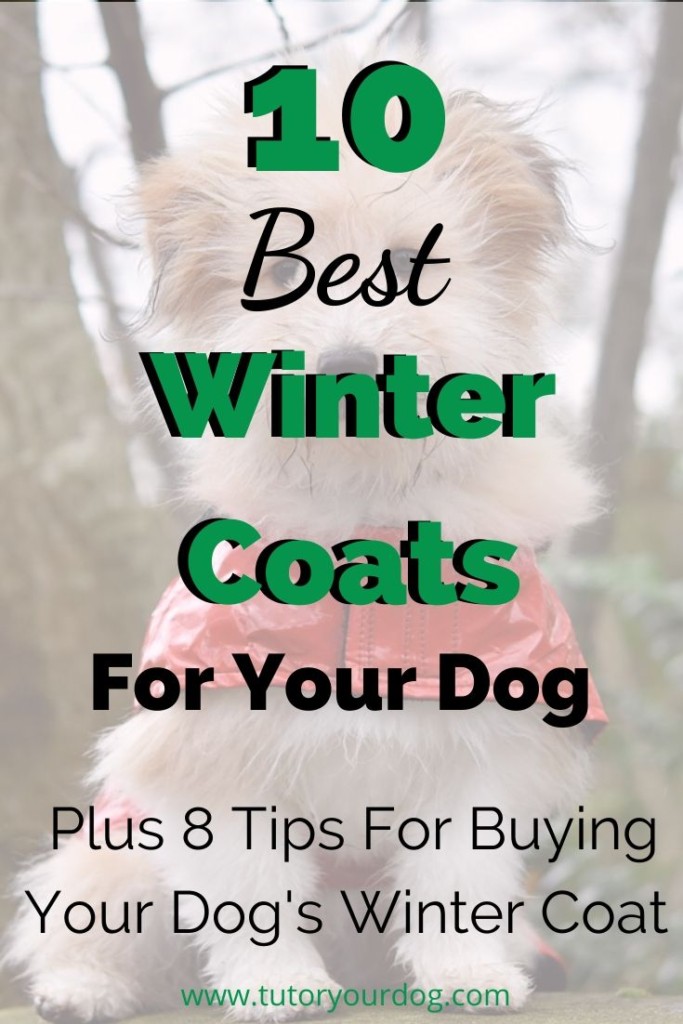 Keep your dog warm this winter on his outdoor adventures.  Check out our top winter coats for dogs and our tips on how to find the perfect jacekt for your dog.  Click through to read the article.