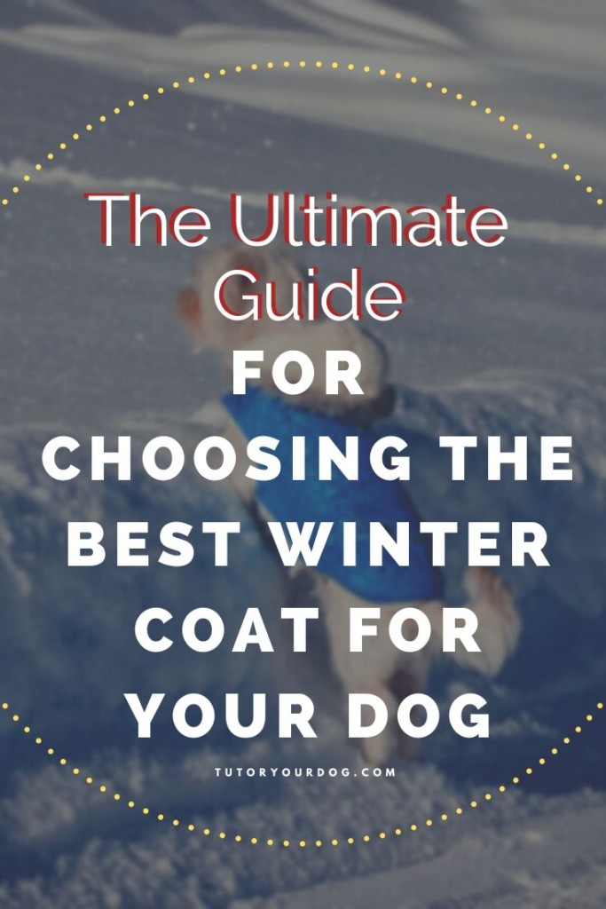 Don't buy a winter coat for your dog without checking out our ultimate guide for choosing the best winter coat for your dog.  We also include our top 10 choices for the best winter coats for dogs.  Click through to read the article.