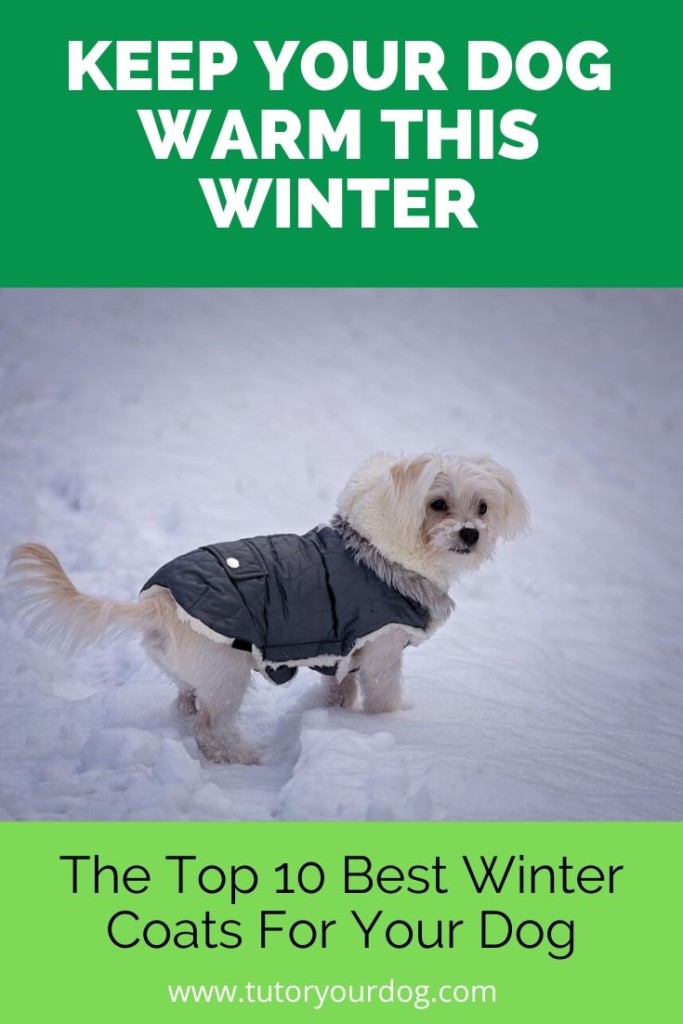 Keep your dog warm this winter on his outdoor adventures.  If you are trying to decide on a winter coat for your dog we are here to help.  We have put together our top 10 picks for warm winter coats for your dog.  We have also included 8 tips for picking the perfect dog coat for your dog.