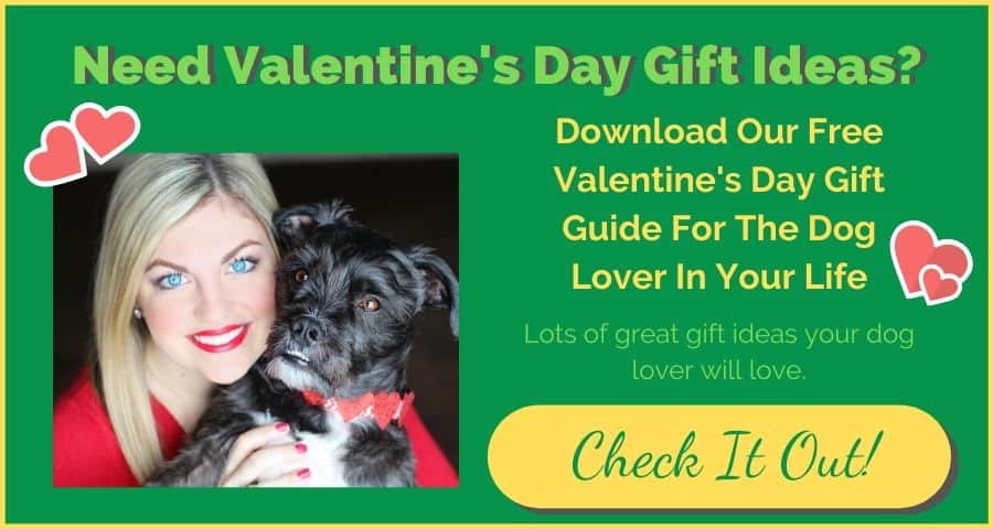 Valentine's Day Gift Guide For The Dog Lover In Your Life
