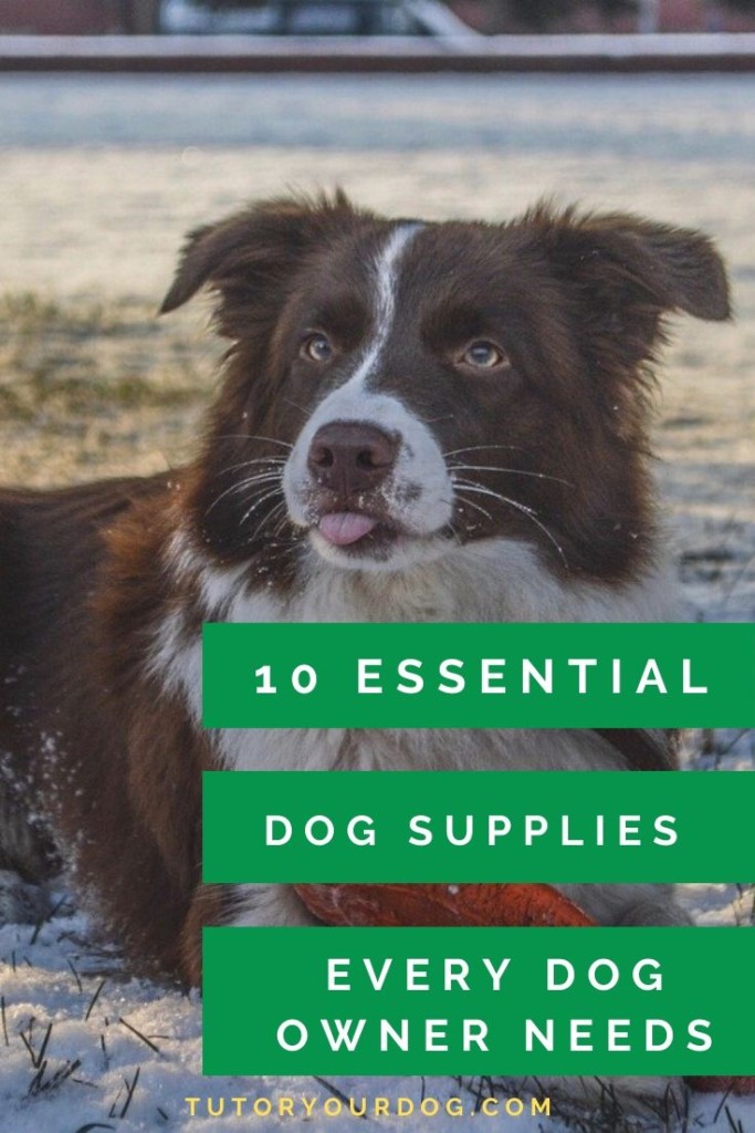Every responsible dog owner wants to make sure that their dog is happy and healthy.  There are certain dog supplies that every dog needs for this to happen.  With so many dog supplies to choose from it is hard to know which dog supplies are the best.  Click through to learn which dog supplies you should have for your dog.