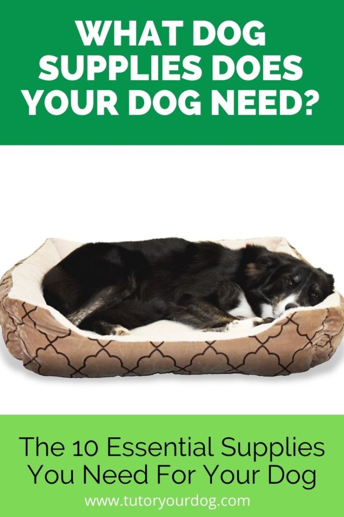 There are must have dog supplies for every dog.  Knowing which ones to buy can be challenging though. Click through to find out which dog supplies are essential for your dog to be happy and healthy.
