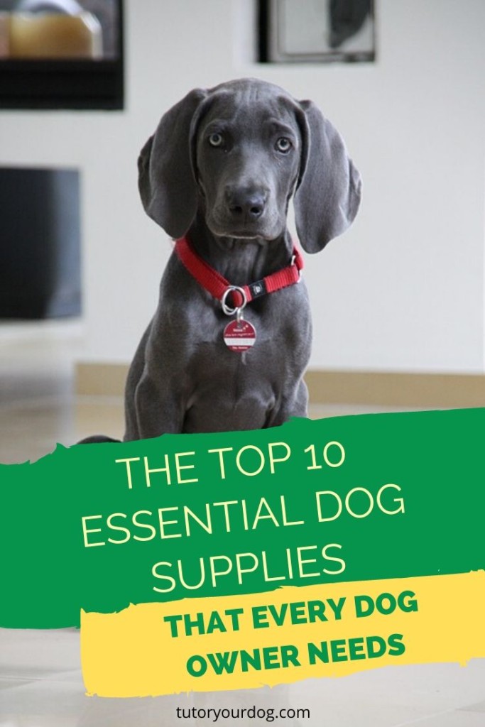 Learn what the top 10 essential dog supplies are that every dog owner needs.  Click through to find out what these must have dog supplies are.