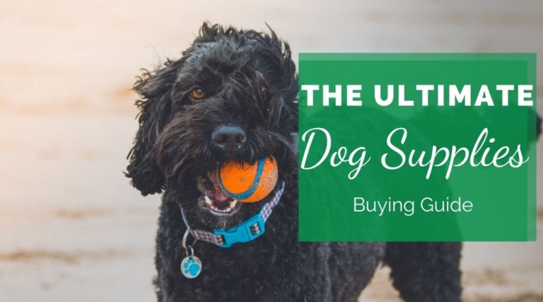 The Ultimate Dog Supplies Buying Guide