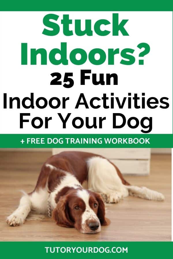 There will be days when you just can't get your dog out to do his regular activities.  But there are things that you can do to entertain your dog indoors.  Check out these 25 simple and fun indoor activites for your dog.  Click through to read how you can entertain your dog inside with these simple games and activies.  