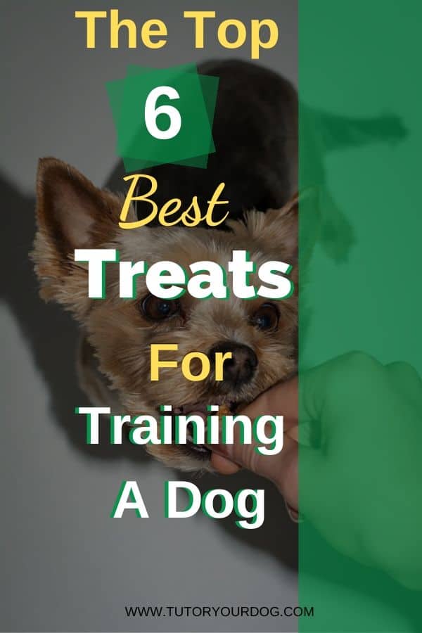 There are so many dog treats to choose from so we've put together a list of the best treats for training a dog so you can find the best option for your dog.  Click through to learn the best dog treats for training your dog. 