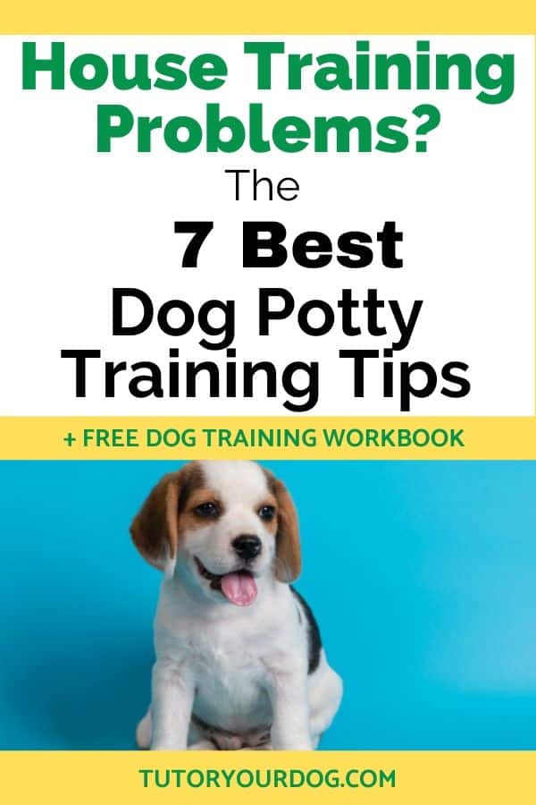 House training your puppy doesn't have to be difficult. Following these best dog potty training tips you'll have your dog house trained in no time at all. Click through to read the article.
#dogpottytraining #housetraining #dogtrainingtips