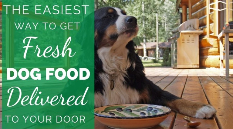 The Easiest Way To Get Fresh Dog Food Delivered To Your Door