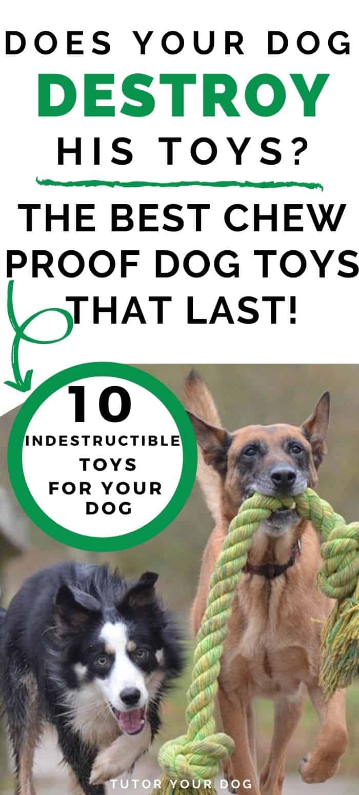 Top 10 Best Indestructible Dog Toys For Aggressive Chewers