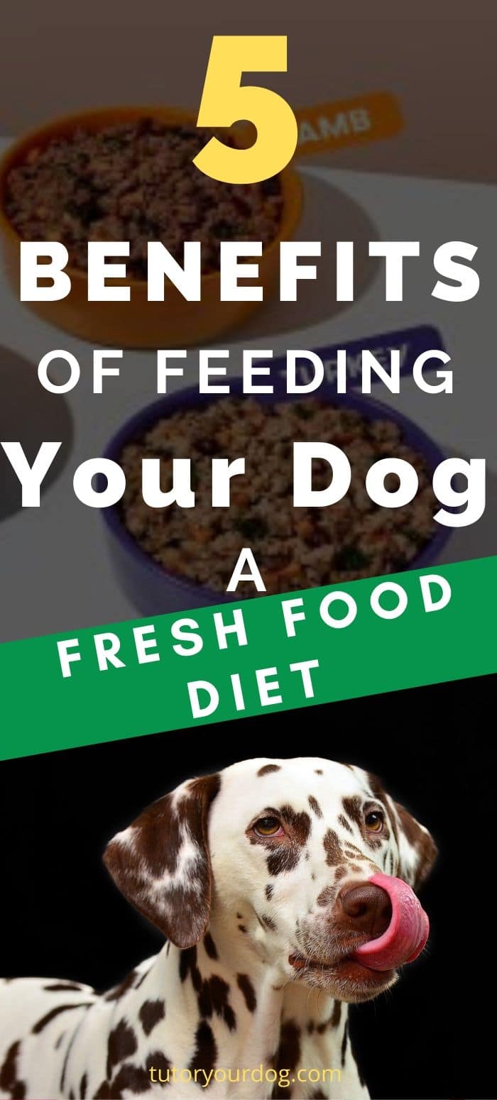 Feeding your dog a fresh dog food diet without fillers, artificial flavors and preservatives is important for the overall health and well being of your dog.  Click through to read the article.