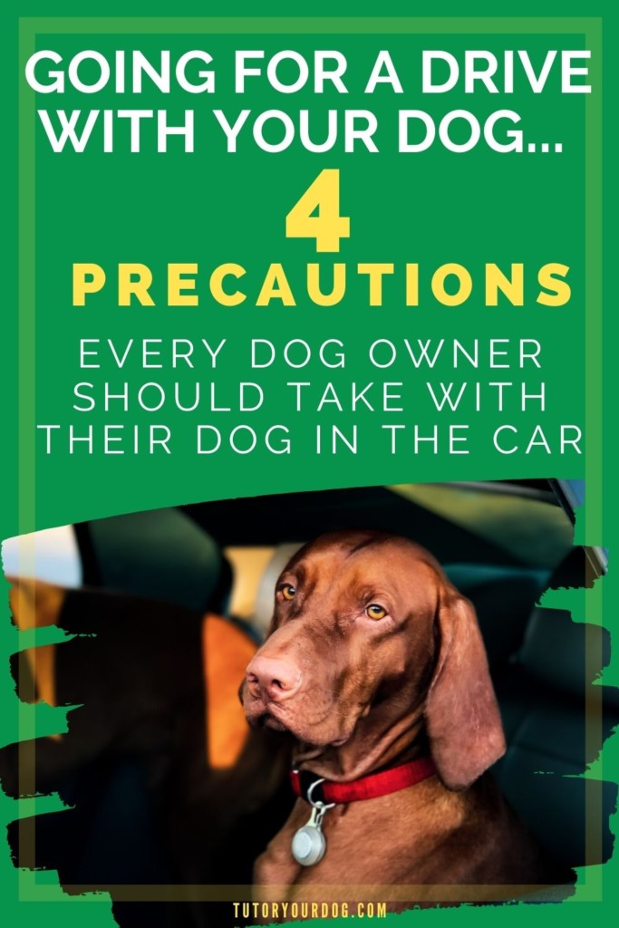 Precautions Every Dog Owner Should Take With Their Dog In The Car