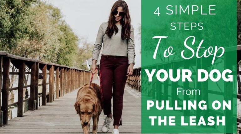 4 Simple Steps To Stop Your Dog From Pulling On The Leash During Walks
