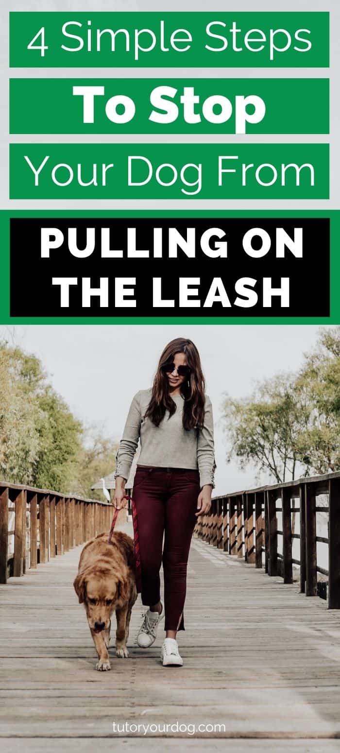 4 Simple Steps To Stop Your Dog From Pulling On The Leash