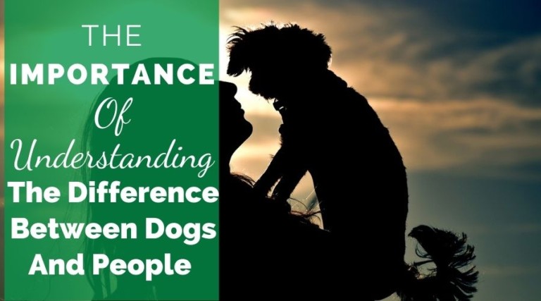 The Importance Of Understanding The Difference Between Dogs And People