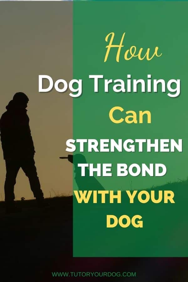 How Dog Training Can Strengthen The Bond With Your Dog