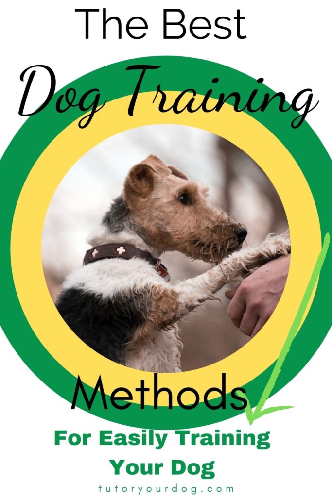 The Best Dog Training Methods For Easily Training Your Dog