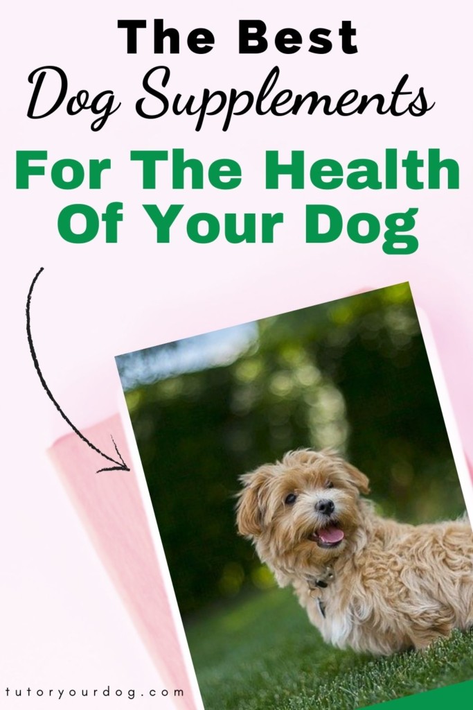 The Best Dog Supplements For The Health Of Your Dog