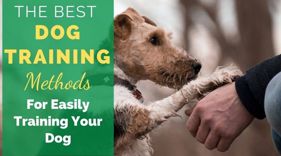The best dog training methods for easily training your dog.  