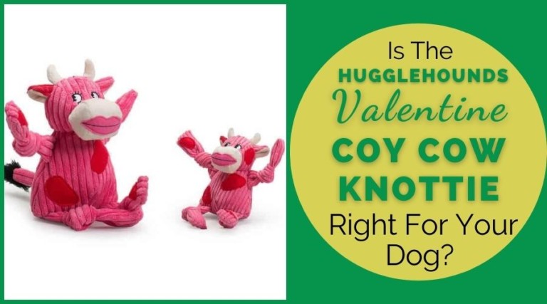 Is The HuggleHounds Valentine Coy Cow Knottie Right For Your Dog?