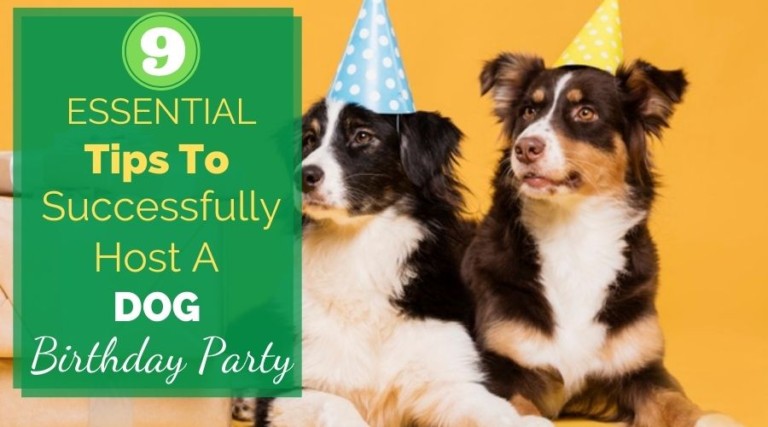 9 Essential Tips To Successfully Host A Dog Birthday Party