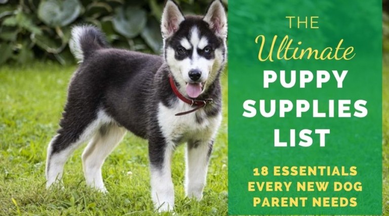 The Ultimate Puppy Supplies List; 18 Essentials Every New Dog Parent Needs