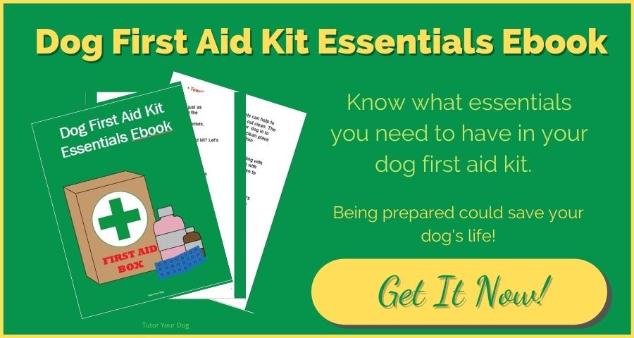 Dog First Aid Essentials Ebook