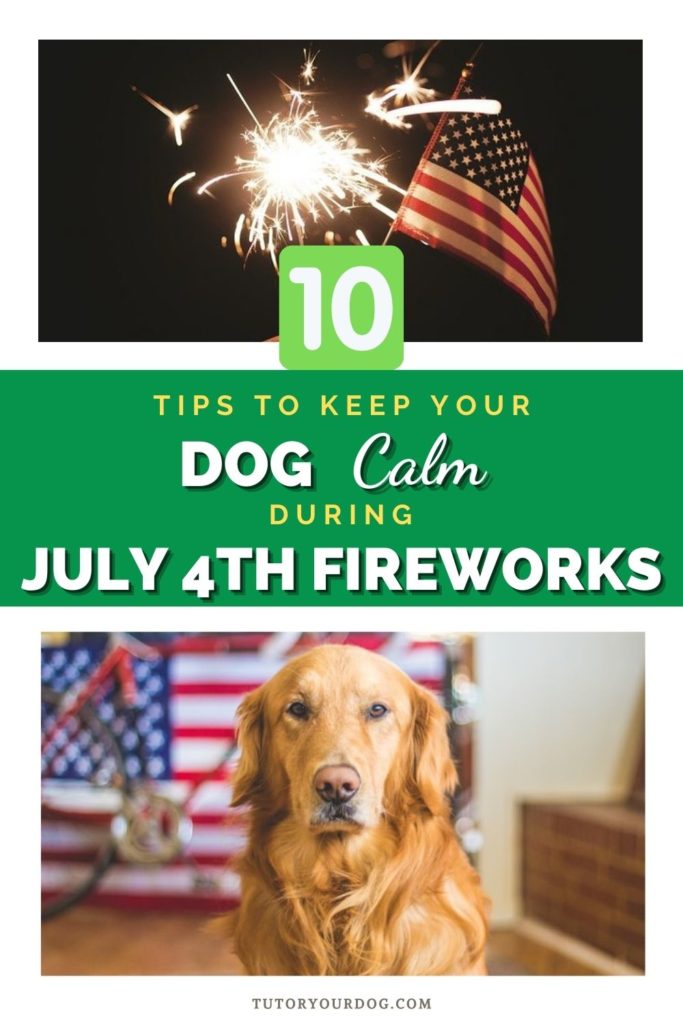 10 Tips To Keep Your Dog Calm During July 4th Fireworks