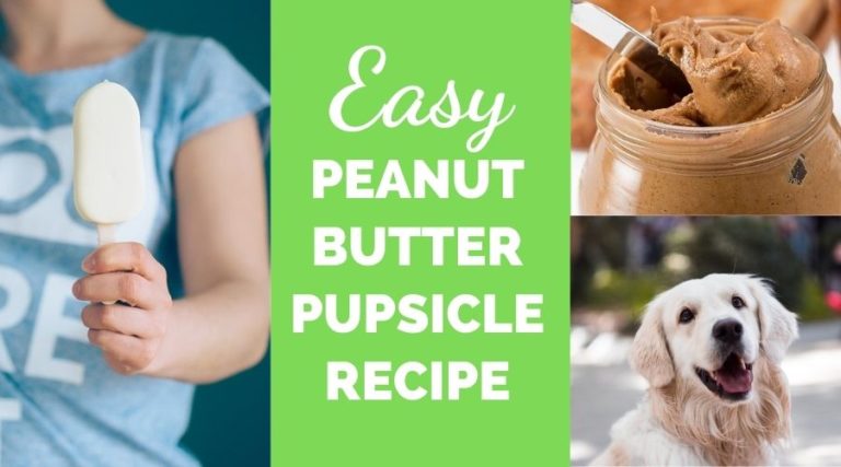 Easy Peanut Butter Pupsicle Recipe