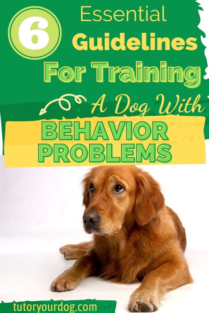 6 Essential Guidelines For Training A Dog With Behavior Problems