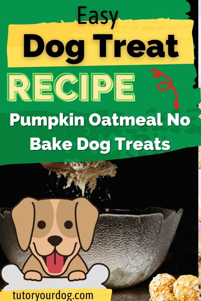 Easy No Bake Pumpkin Oatmeal Dog Treat Recipe