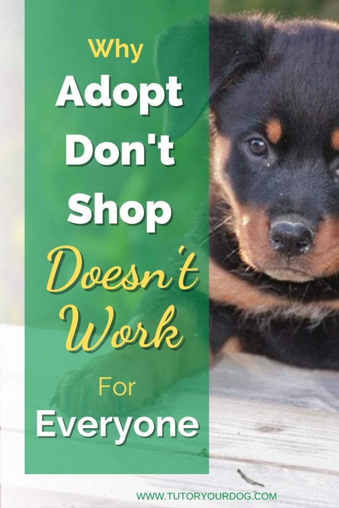 Why Adopt Don't Shop Doesn't Work For Everyone