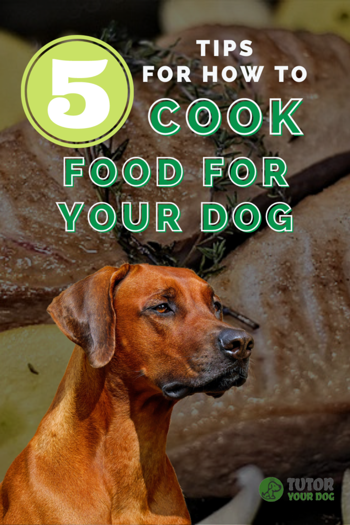5 Tips For How To Cook Food For Your Dog