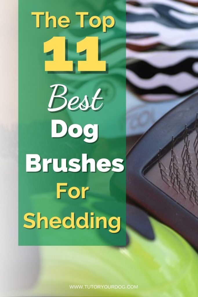 The 11 Best Dog Brushes For Shedding - Tutor Your Dog