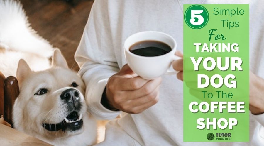 Tips For Taking Your Dog To The Coffee Shop